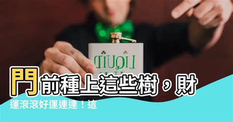 門前樹風水|門前種什麼樹風水好 庭院種樹風水講究